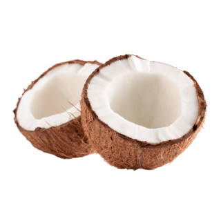 Picture of Coconut