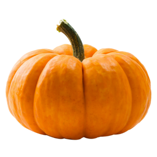 Picture of Pumpkin